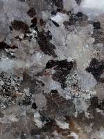 ../photos/Italian natural marbles/fossil brown.JPG